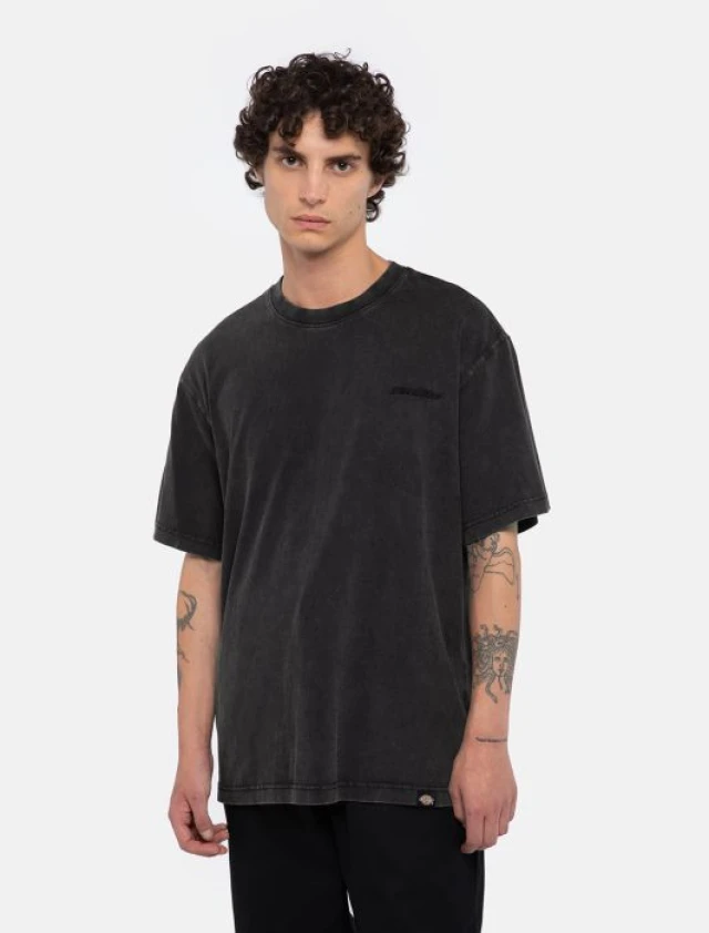 Dickies Plentywood Ss Tee Dble Dye/Acd Bl Ανδρική Μπλούζα Μαύρη