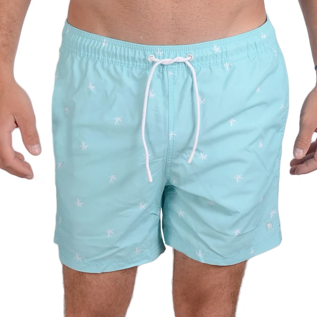 Tom Tailor 3Rd 105 Mint Big Triangle Print Μαγιω Ανδρικο Λευκο-Μπλε
