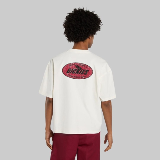 Dickies Shonto Ss Tee Ανδρική Μπλούζα Μπεζ
