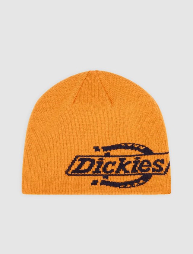 Dickies Summerdale Logo Beanie Autumn Σκούφος Πορτοκαλί