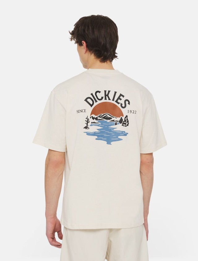 Dickies Beach Tee Ss Whitecap Gray Ανδρική Μπλούζα Μπεζ