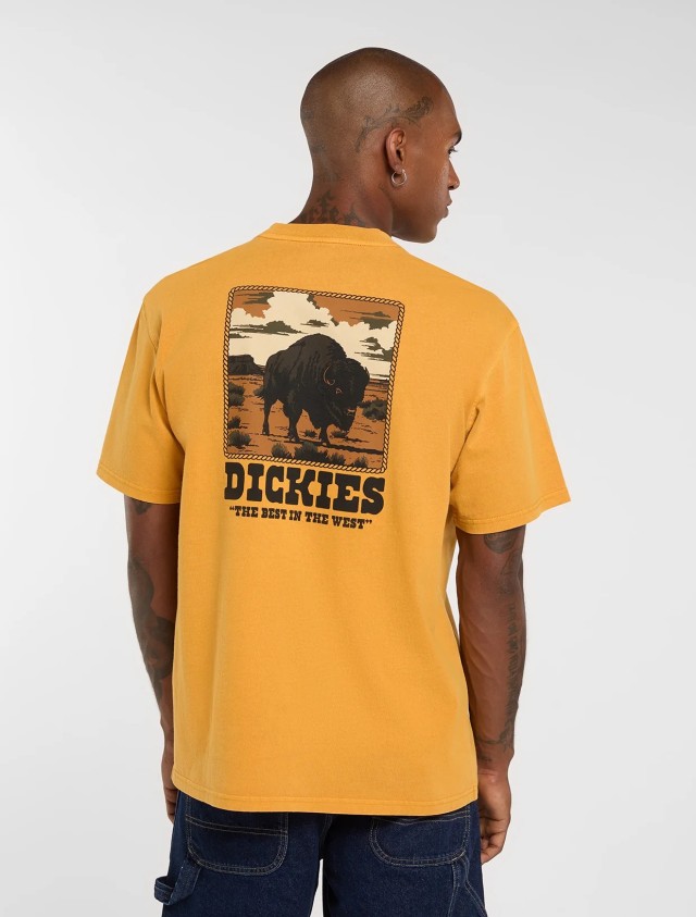 Dickies Darrtown Ss Tee Sunflower Ανδρική Μπλούζα Μουσταρδι
