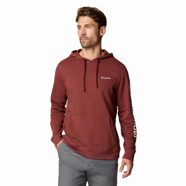 Columbia Trek™ Hoodie Ανδρικό Φούτερ Μπορντο