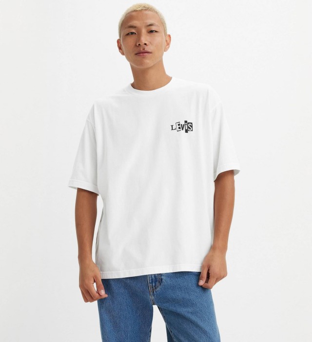 Levis Skate Graphic Box Tee Neutrals Ανδρική Μπλούζα Λευκή