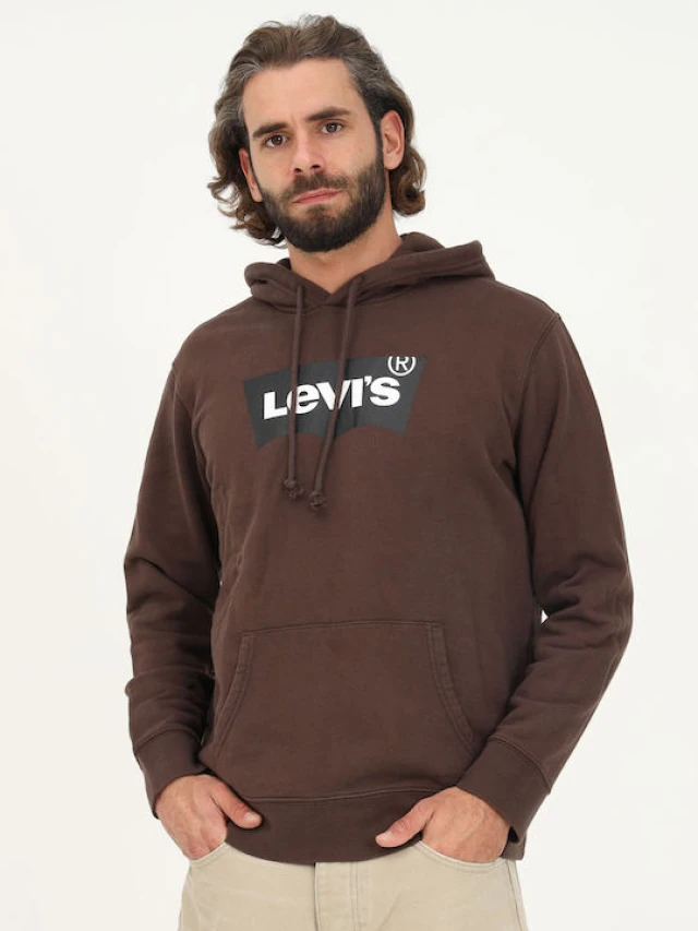 Levis Standard Graphic Hoodie Bw Ssn Ανδρικο Φουτερ Καφε