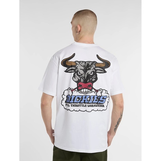 Dickies Lakeridge Ss Tee Ανδρική Μπλούζα Λευκή