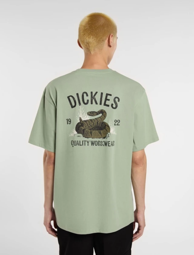 Dickies Snake Ss Tee Iceberg Gree Ανδρική Μπλούζα Πράσινη