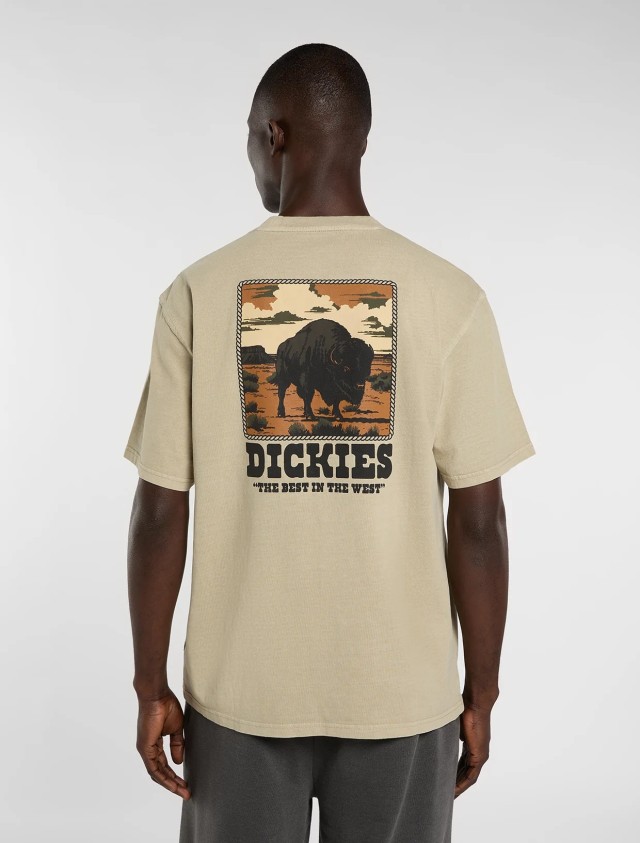 Dickies Darrtown Ss Tee Eucalyptus Ανδρική Μπλούζα Μπεζ